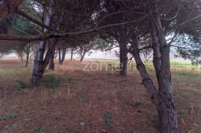 Terreno para Venda em Pataias e Martingança