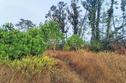 Terreno para Venda em Pataias e Martingança