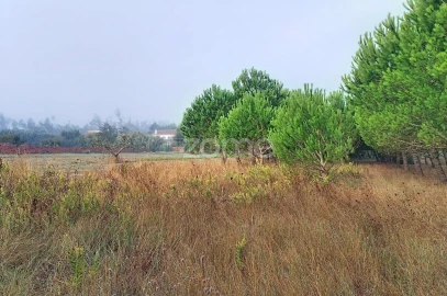 Terreno para Venda em Pataias e Martingança