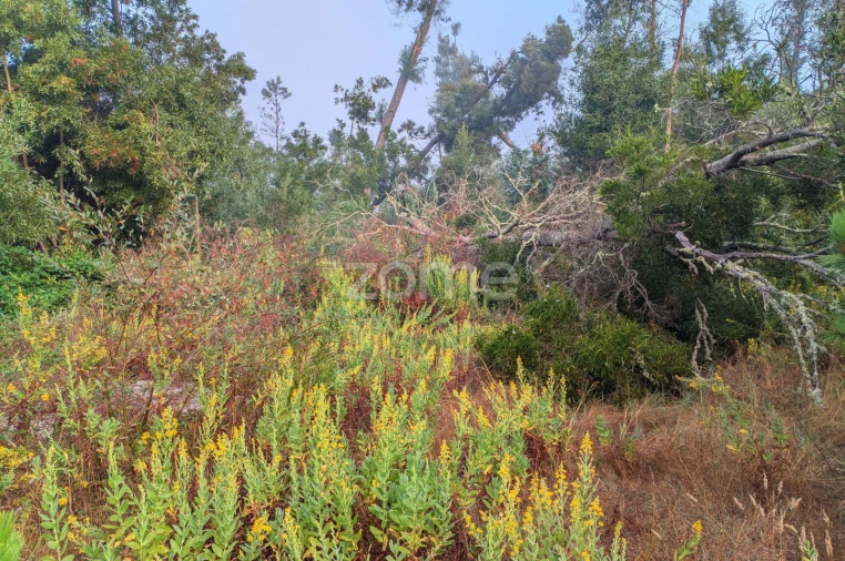 Terreno para Venda em Pataias e Martingança Foto 11