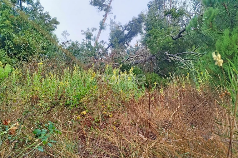 Terreno para Venda em Pataias e Martingança Foto 10