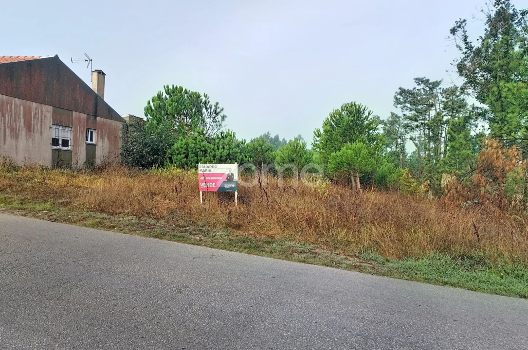 Terreno para Venda em Pataias e Martingança Foto 1