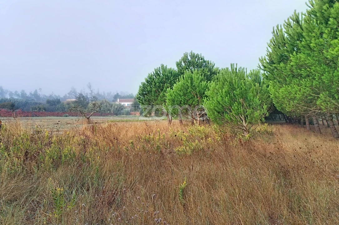 Terreno para Venda em Pataias e Martingança Foto 6