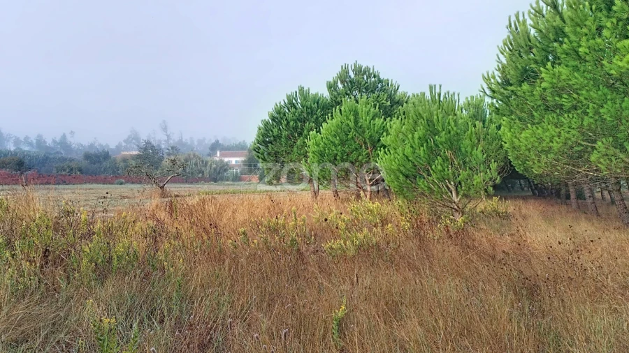 Terreno para Venda em Pataias e Martingança