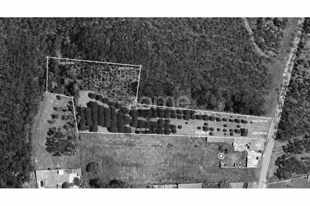 Terreno para Venda em Pataias e Martingança Foto 15