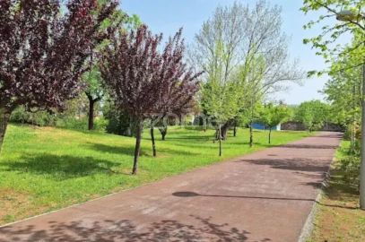 Terreno para Venda em Pampilhosa