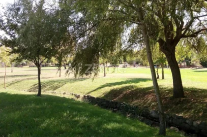 Terreno para Venda em Pampilhosa