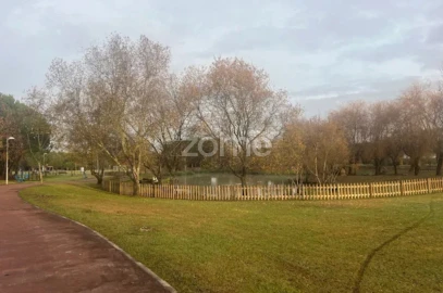 Terreno para Venda em Pampilhosa