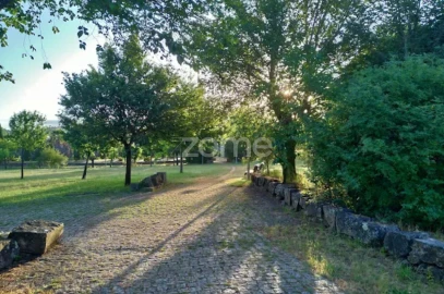 Terreno para Venda em Pampilhosa