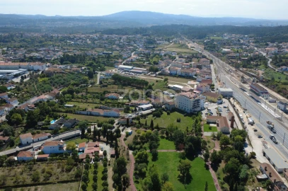 Terreno para Venda em Pampilhosa