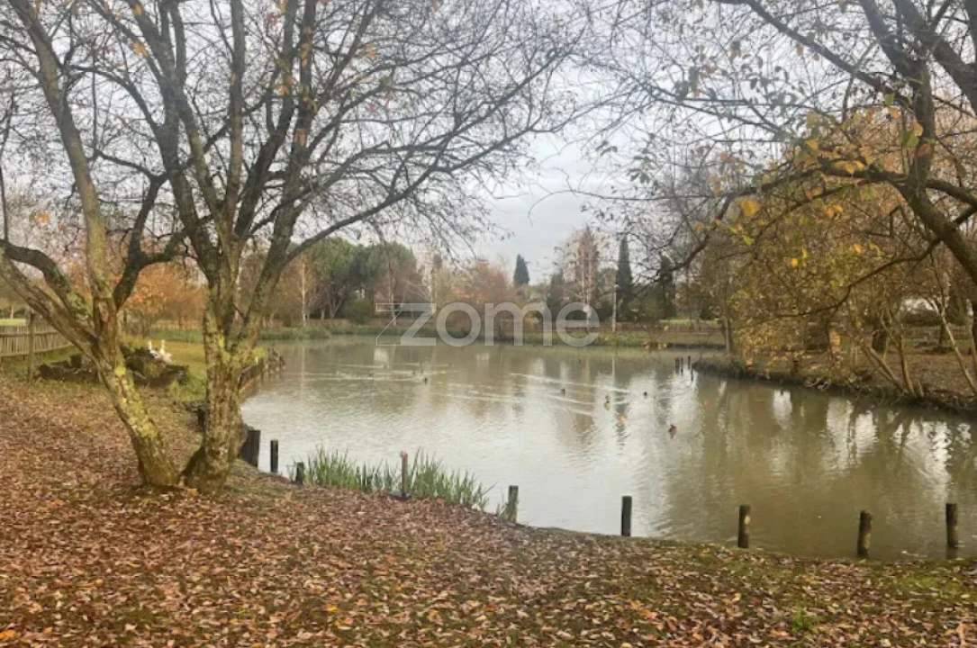 Terreno para Venda em Pampilhosa Foto 20