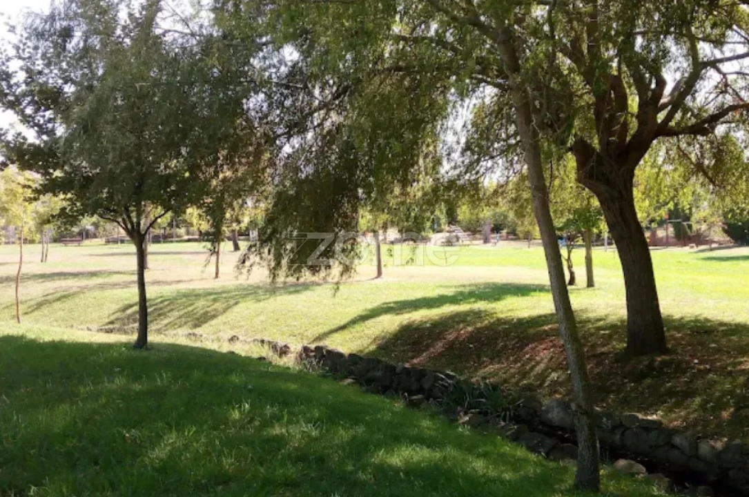 Terreno para Venda em Pampilhosa Foto 22