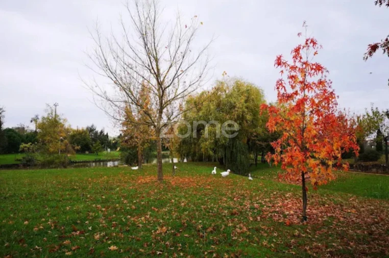Terreno para Venda em Pampilhosa Foto 25