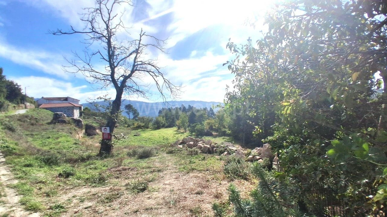 Terreno para Venda em Sande e São Lourenço Foto 4