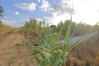 Terreno para Venda em Vermelha