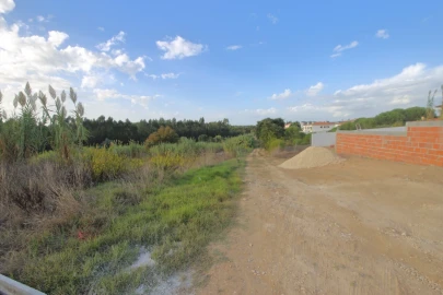 Terreno para Venda em Vermelha