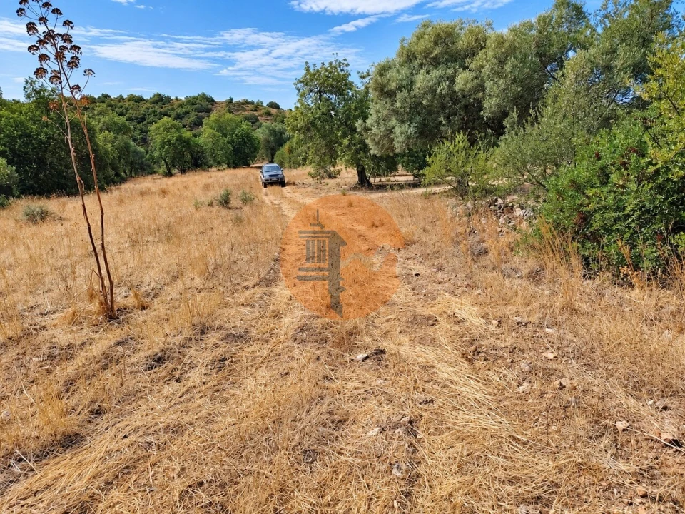 Terreno para Venda em Santa Catarina da Fonte do Bispo Foto 1