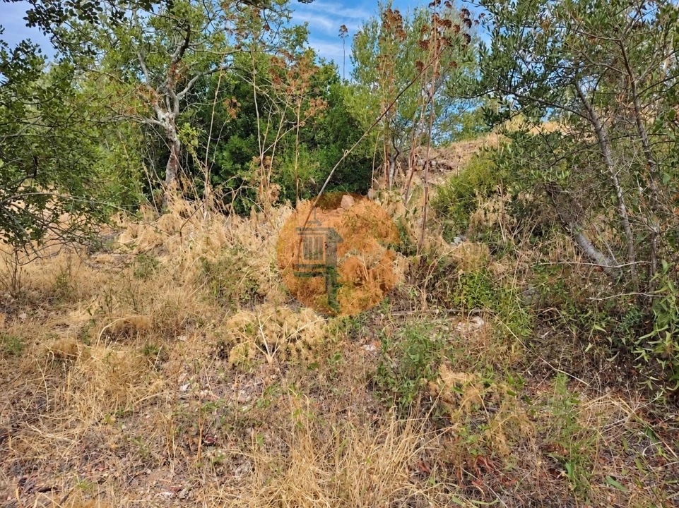 Terreno para Venda em Santa Catarina da Fonte do Bispo Foto 3