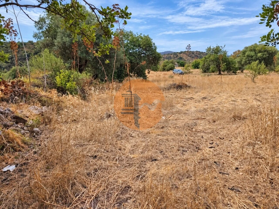 Terreno para Venda em Santa Catarina da Fonte do Bispo Foto 6