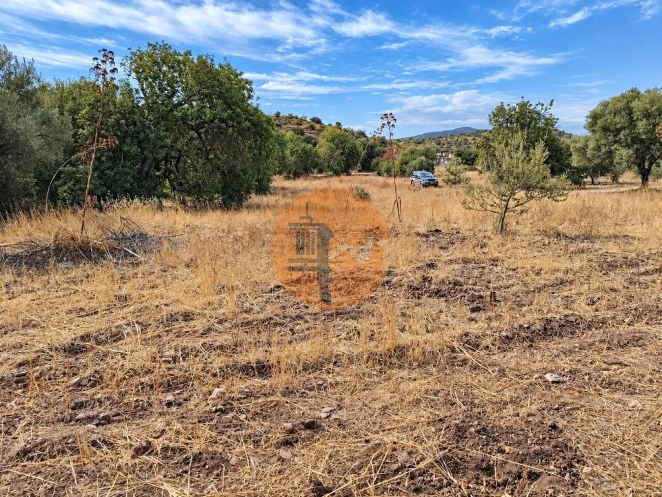 Terreno para Venda em Santa Catarina da Fonte do Bispo Foto 7