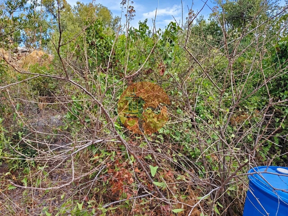 Terreno para Venda em Santa Catarina da Fonte do Bispo Foto 8