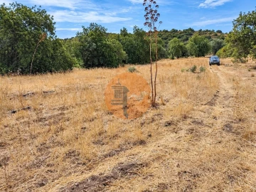 Terreno para Venda em Santa Catarina da Fonte do Bispo