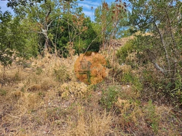 Terreno para Venda em Santa Catarina da Fonte do Bispo