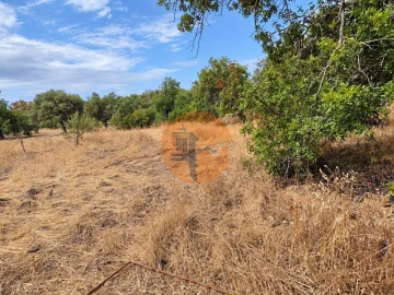 Terreno para Venda em Santa Catarina da Fonte do Bispo