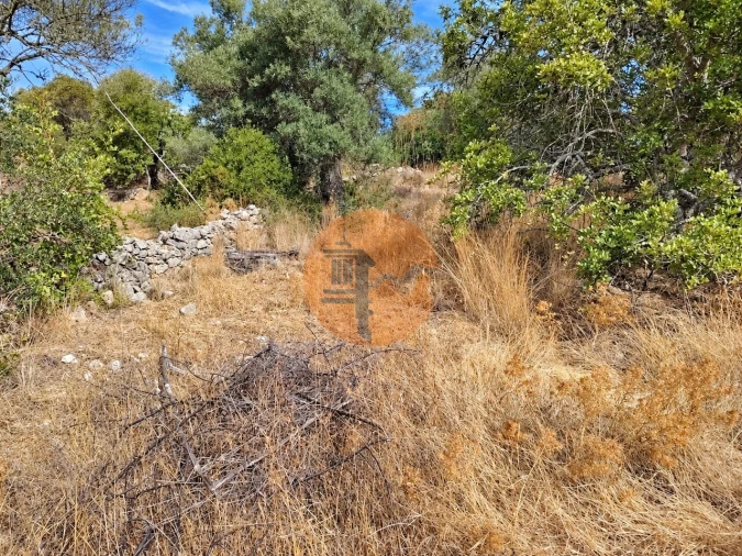 Terreno para Venda em Santa Catarina da Fonte do Bispo Foto 4