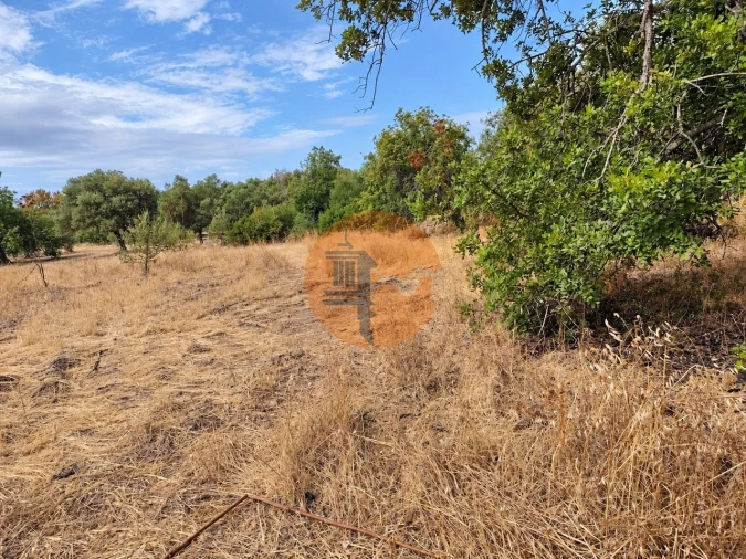 Terreno para Venda em Santa Catarina da Fonte do Bispo Foto 5