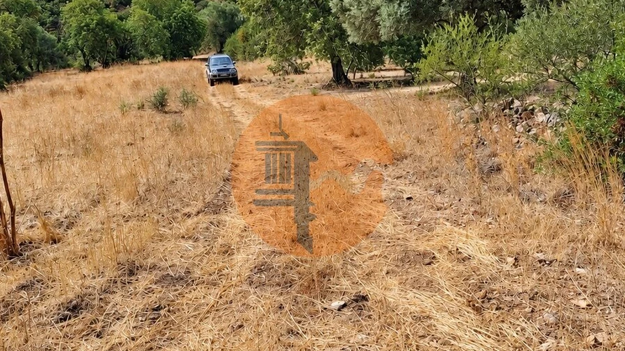 Terreno para Venda em Santa Catarina da Fonte do Bispo