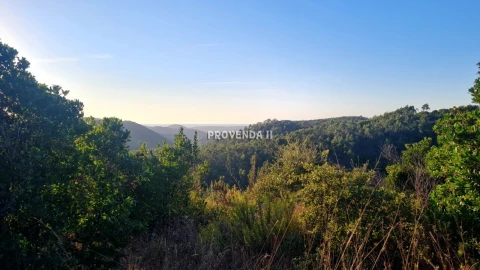 Quinta T0 para Venda em Bordeira