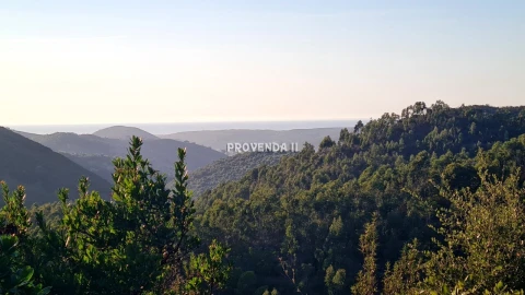 Quinta T0 para Venda em Bordeira