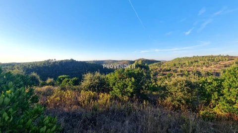Quinta T0 para Venda em Bordeira