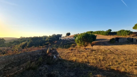 Quinta T0 para Venda em Bordeira