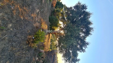 Quinta T0 para Venda em Bordeira