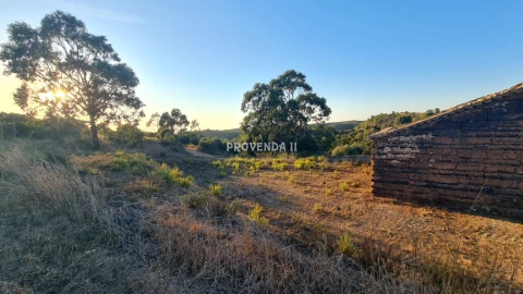 Quinta T0 para Venda em Bordeira
