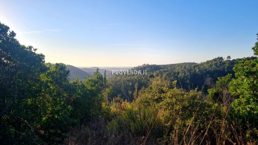 Quinta T0 para Venda em Bordeira Foto 4