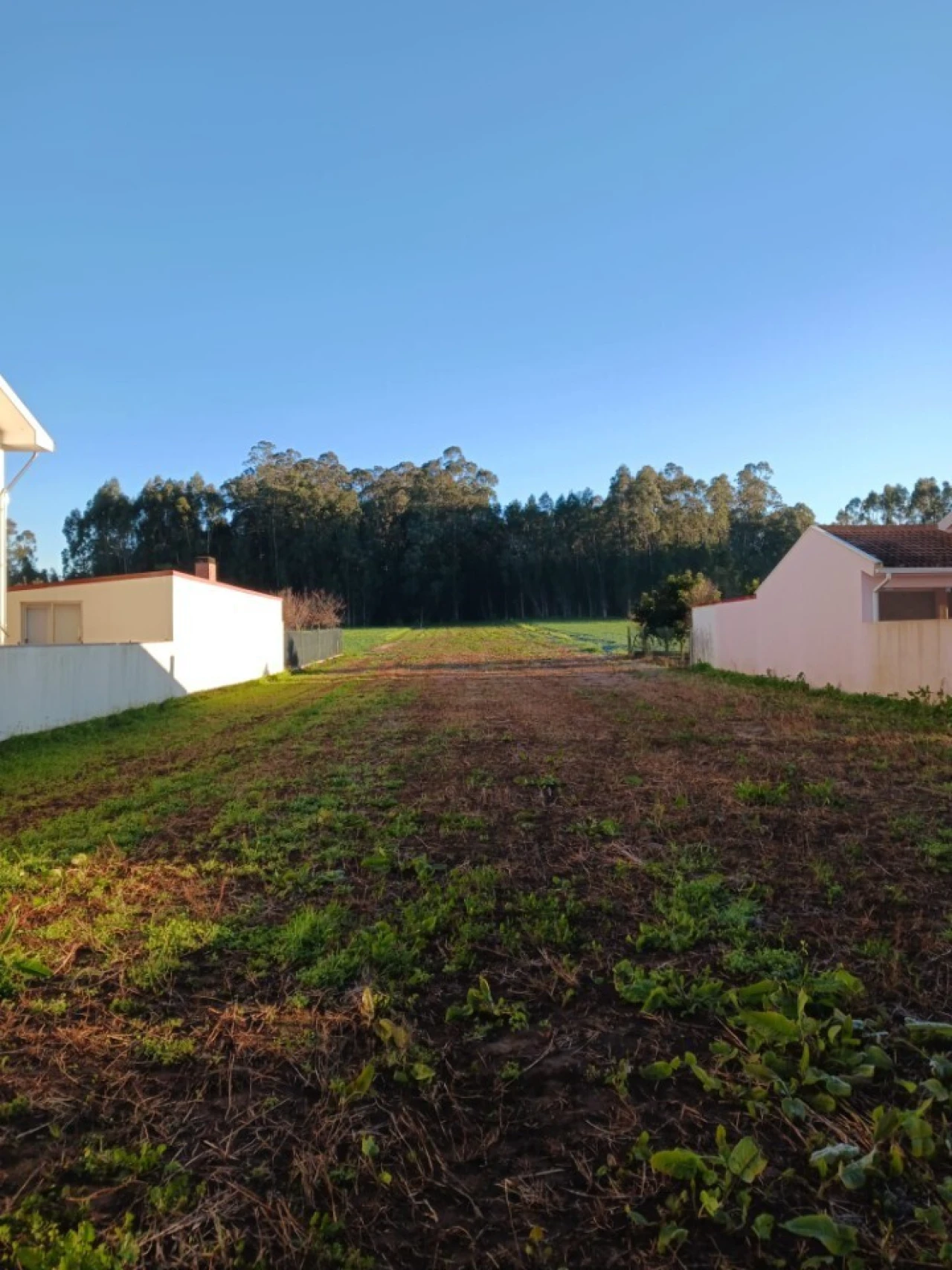 Terreno para Venda em Ovar, São João, Arada e São Vicente de Pereira Jusã Foto 5