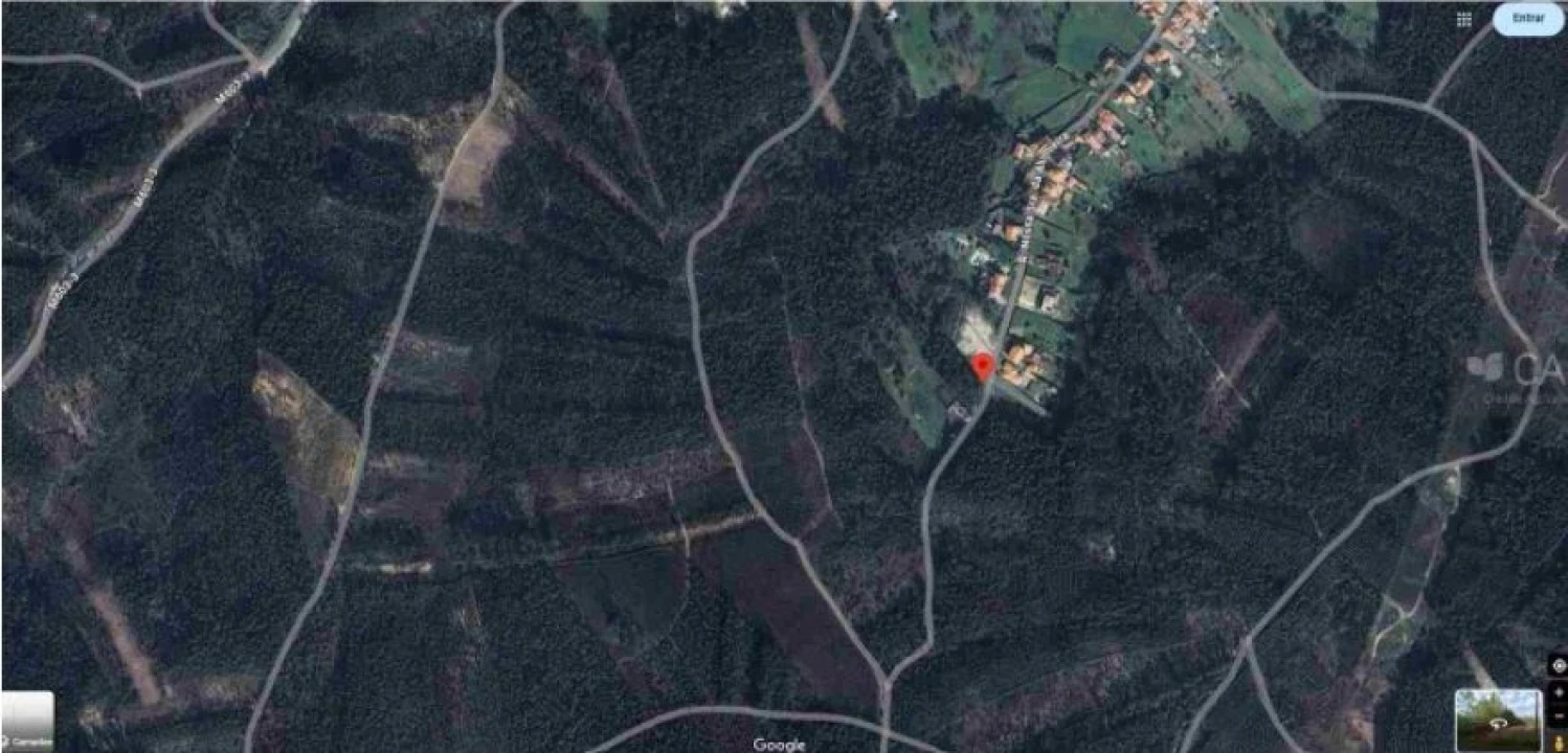 Terreno para Venda em Oliveira do Bairro Foto 1