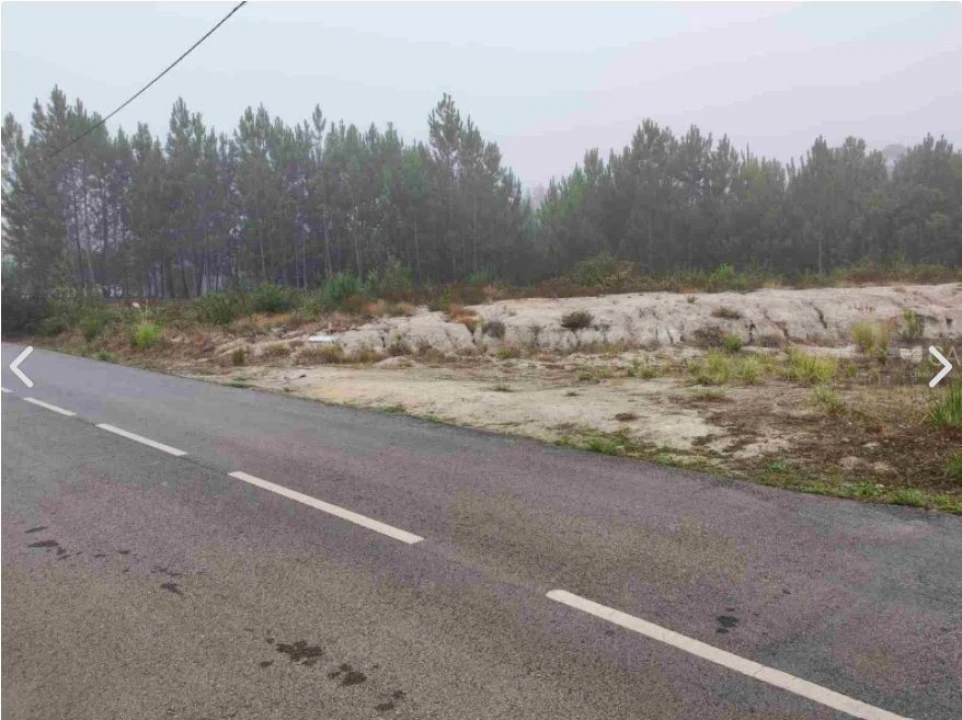 Terreno para Venda em Oliveira do Bairro Foto 4