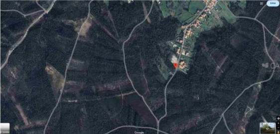 Terreno para Venda em Oliveira do Bairro