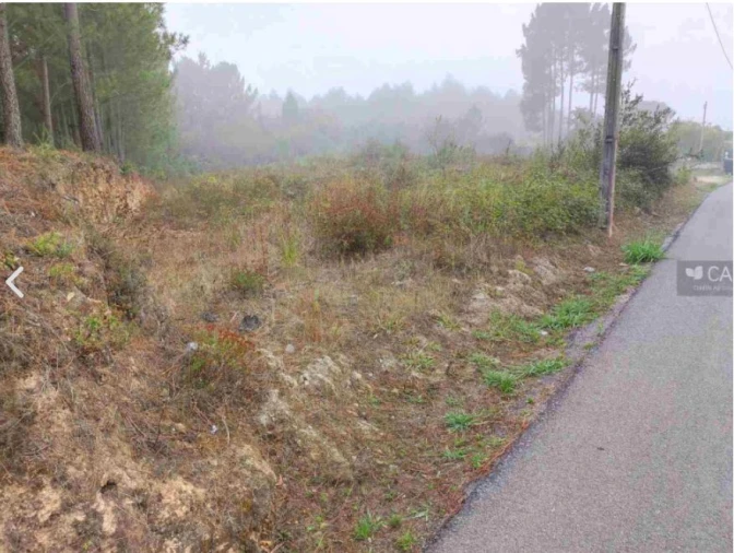 Terreno para Venda em Oliveira do Bairro Foto 6