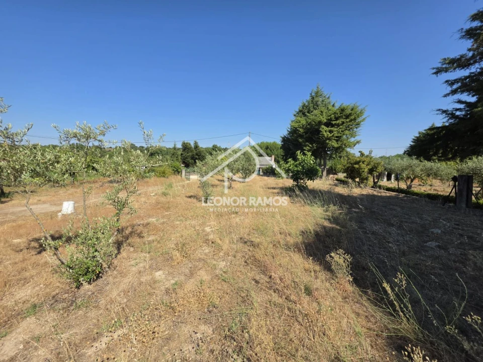 Terreno para Venda em Castelo Branco Foto 5