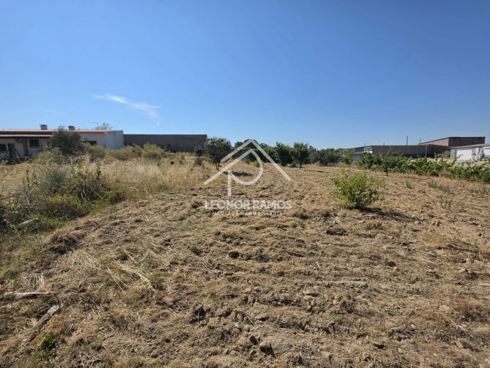 Terreno para Venda em Castelo Branco Foto 7