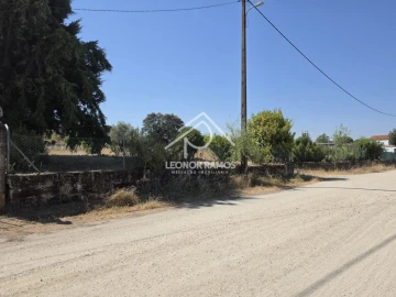 Terreno para Venda em Castelo Branco