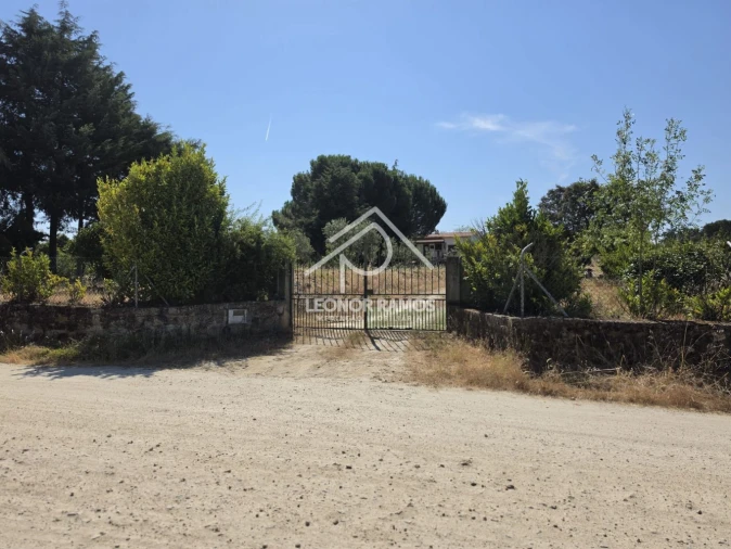 Terreno para Venda em Castelo Branco Foto 4