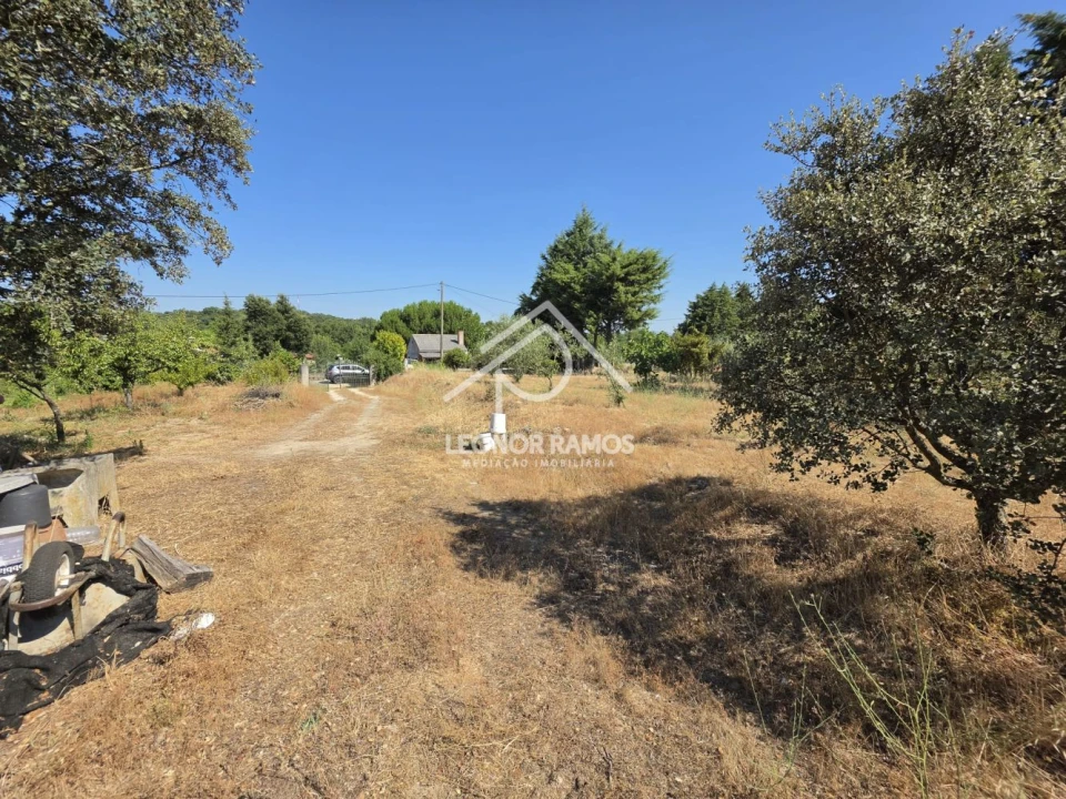 Terreno para Venda em Castelo Branco Foto 6