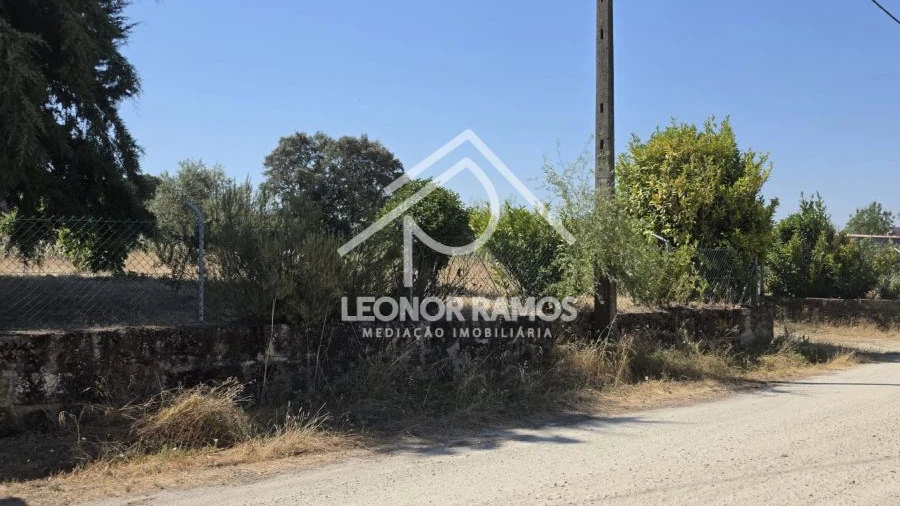 Terreno para Venda em Castelo Branco