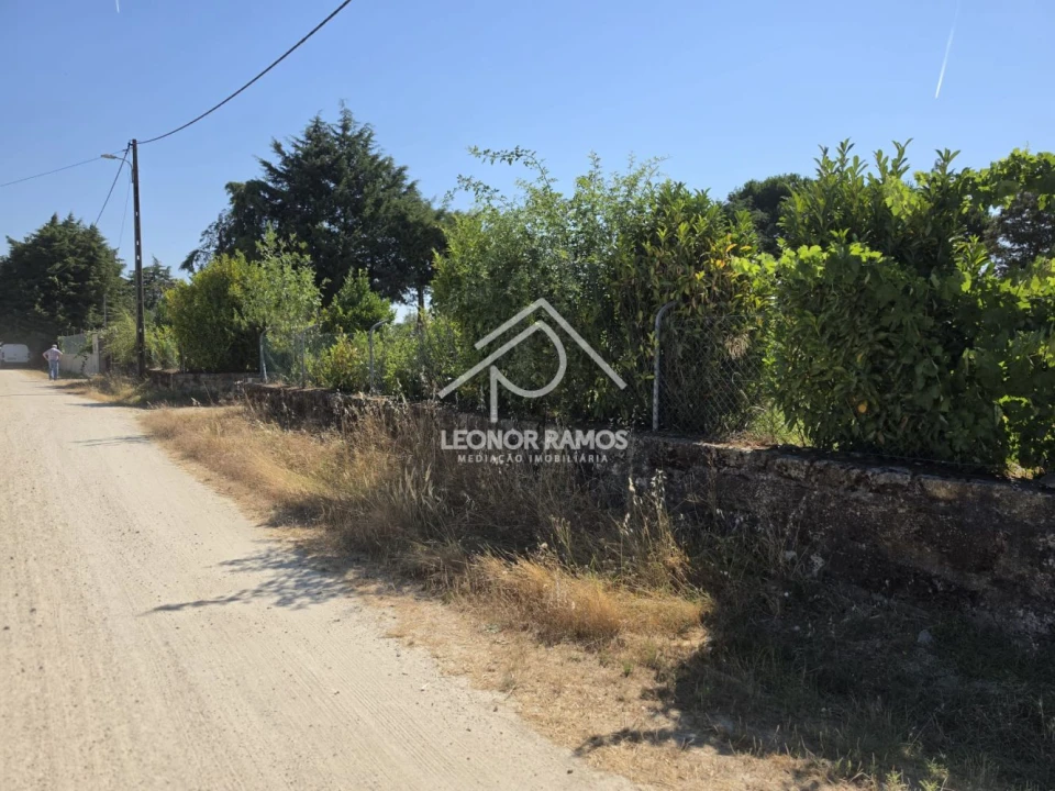 Terreno para Venda em Castelo Branco Foto 2